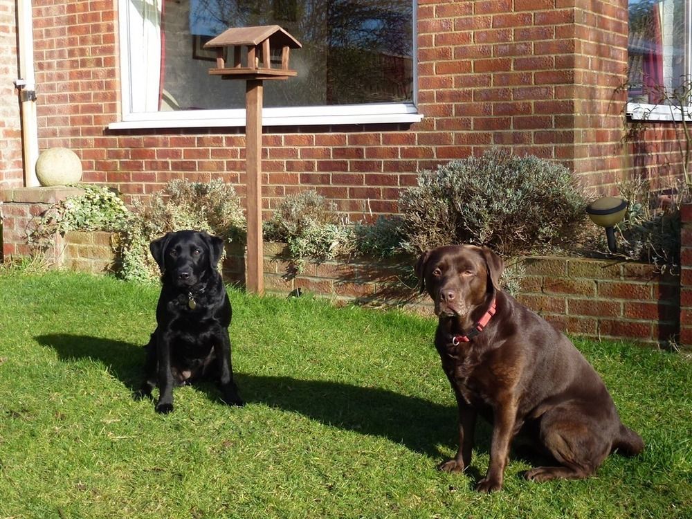 Manor Farm Stay Sutton-on-Sea Luaran gambar