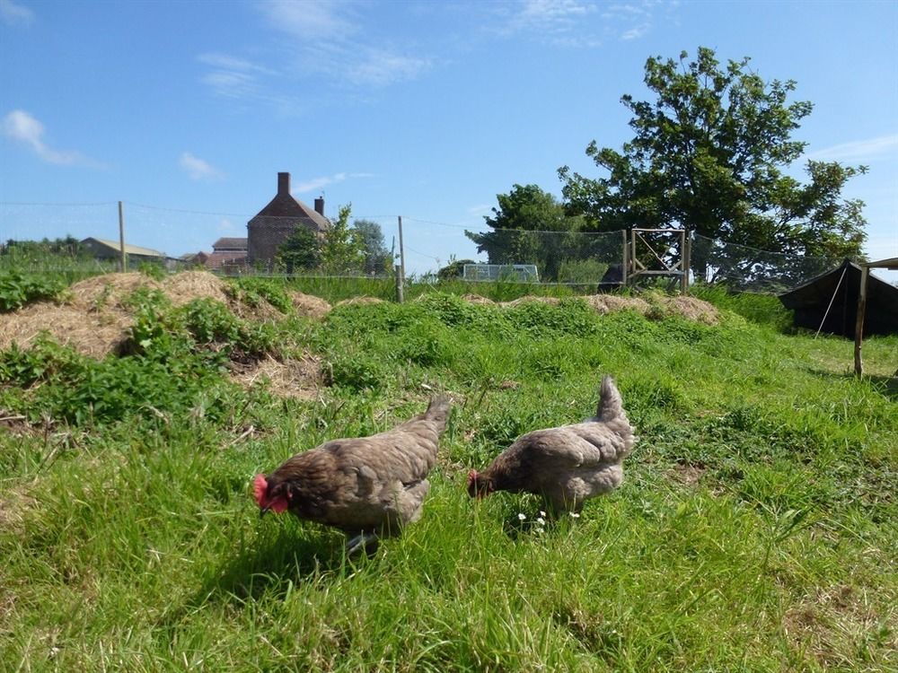 Manor Farm Stay Sutton-on-Sea Luaran gambar