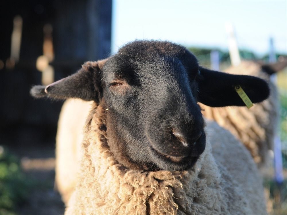 Manor Farm Stay Sutton-on-Sea Luaran gambar
